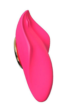 7766 Vibrador de Calcinha Forest pk - Sex Shop em Curitiba