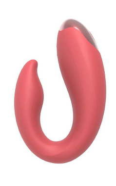 8719 Vibrador de Casal c/ Case Contr. Remoto - Sex Shop em Curitiba